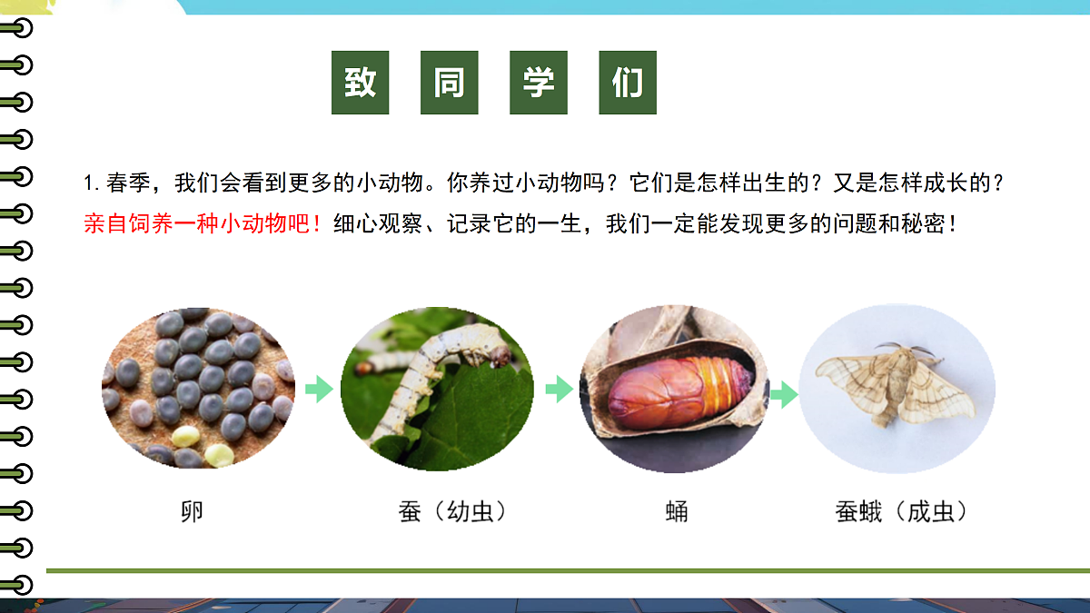 【开学第一课】教科版科学三年级下册 课件第4页