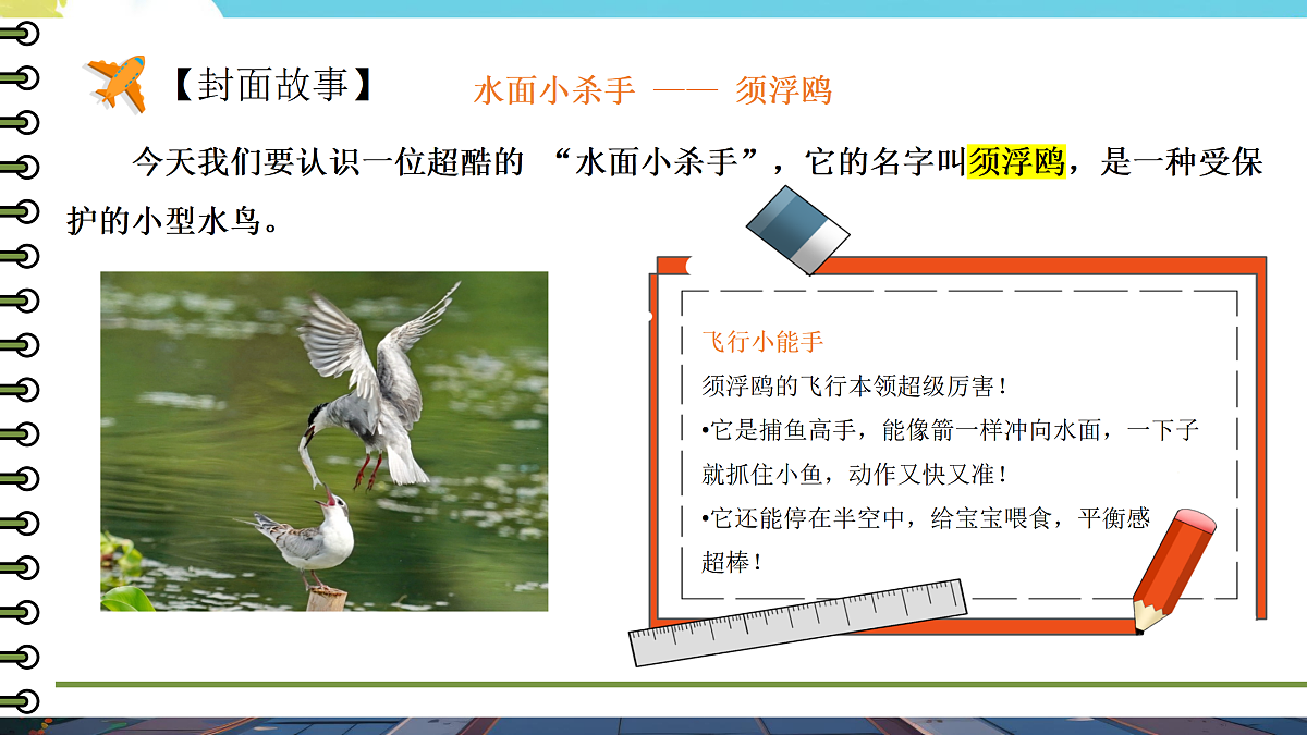 【开学第一课】教科版科学三年级下册 课件第8页