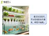 6.1   鱼菜共生（课件）2025-2026学年北师大二年级数学下册