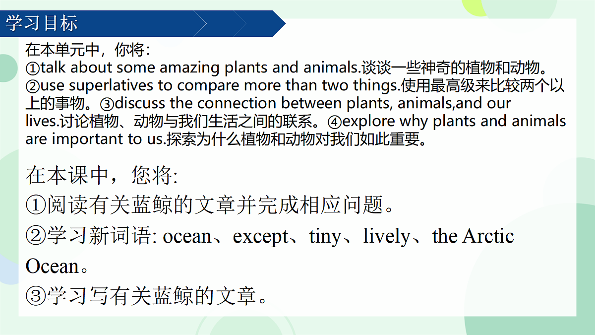 17975904第2页