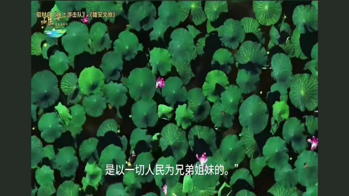 17976757第2页