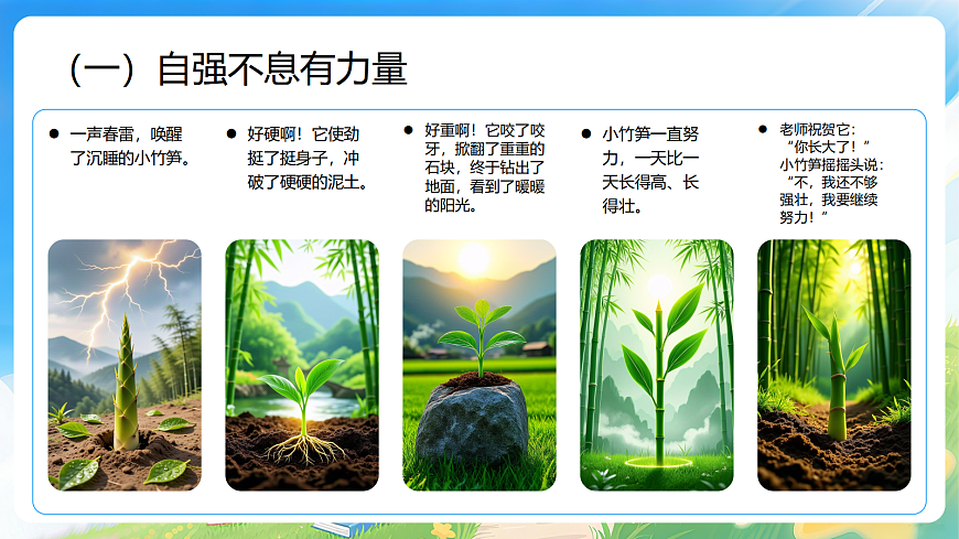 17977845第8页