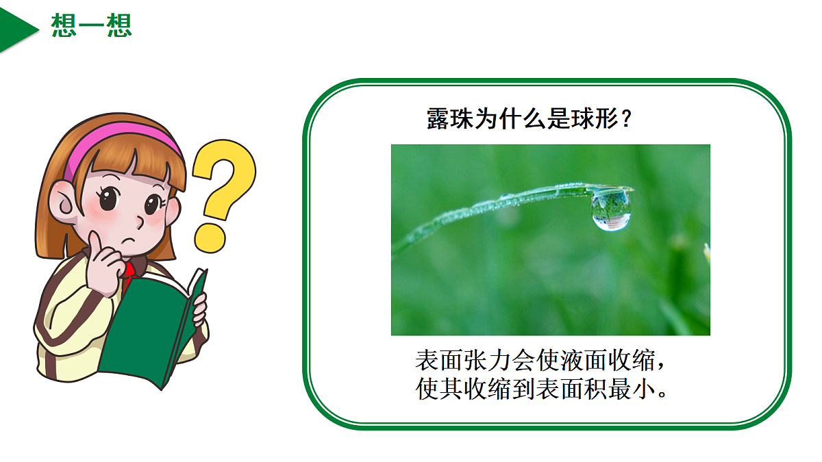 17978388第5页