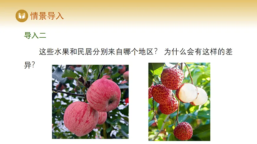 17978534第4页