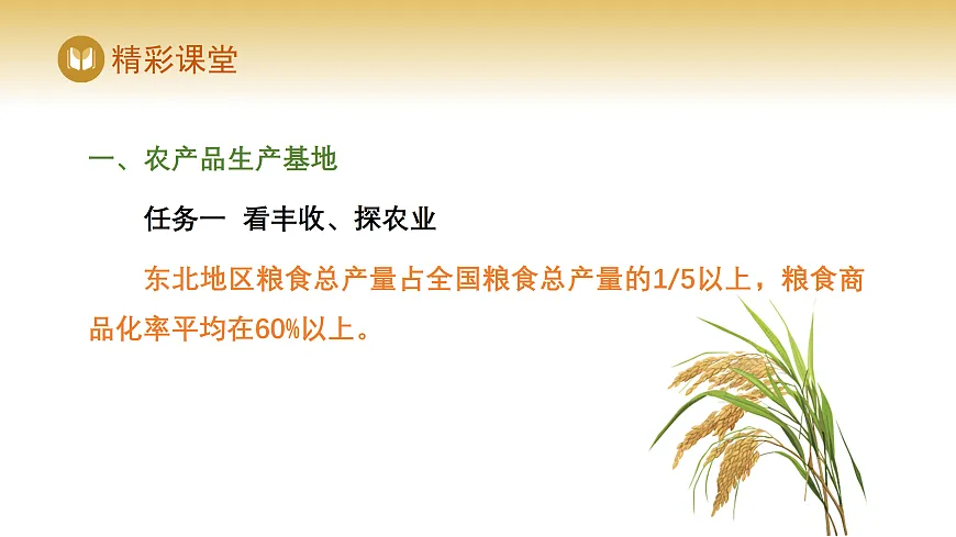 17978538第7页