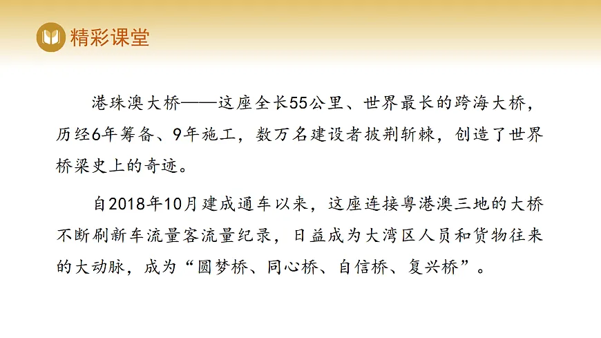 17978541第7页