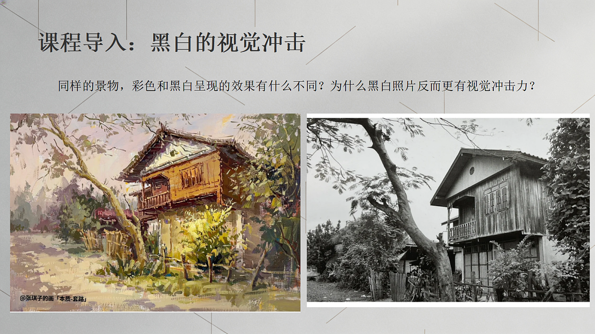 《黑白的魅力》教学课件第3页