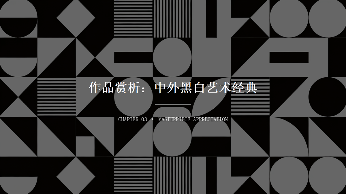 《黑白的魅力》教学课件第5页