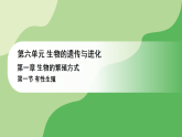 冀少版八年级生物下册 第六单元 第一章 生物的繁殖方式 第一节 有性生殖（课件）