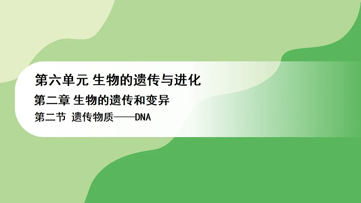 17978619第1页
