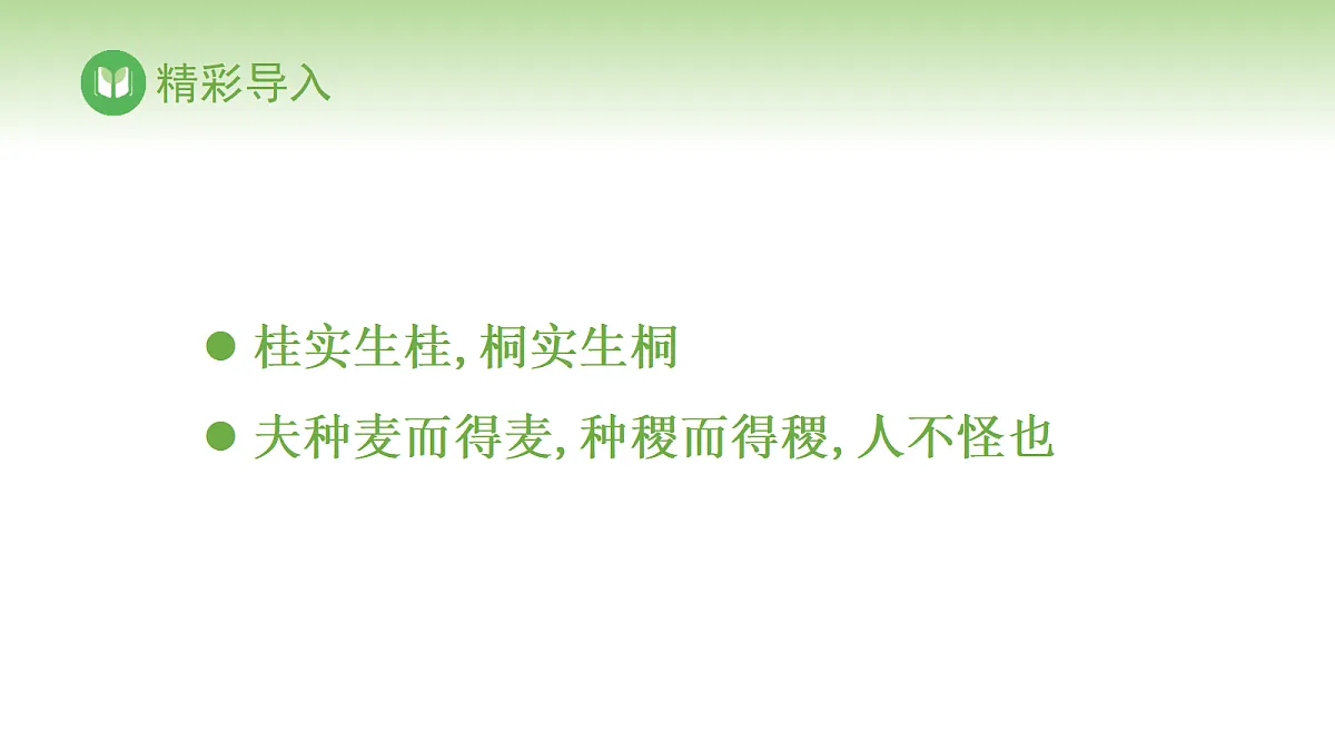17978619第2页