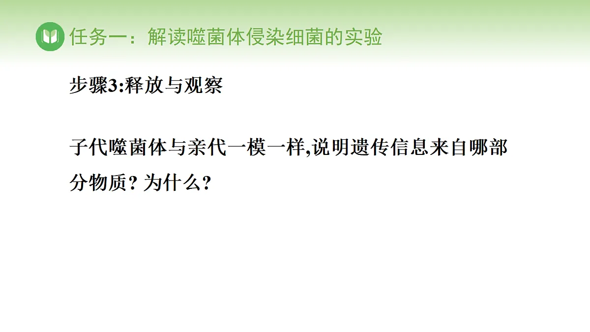 17978619第7页