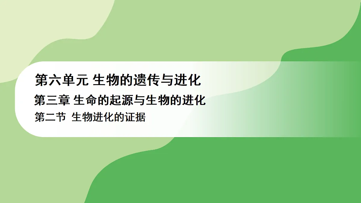 17978624第1页