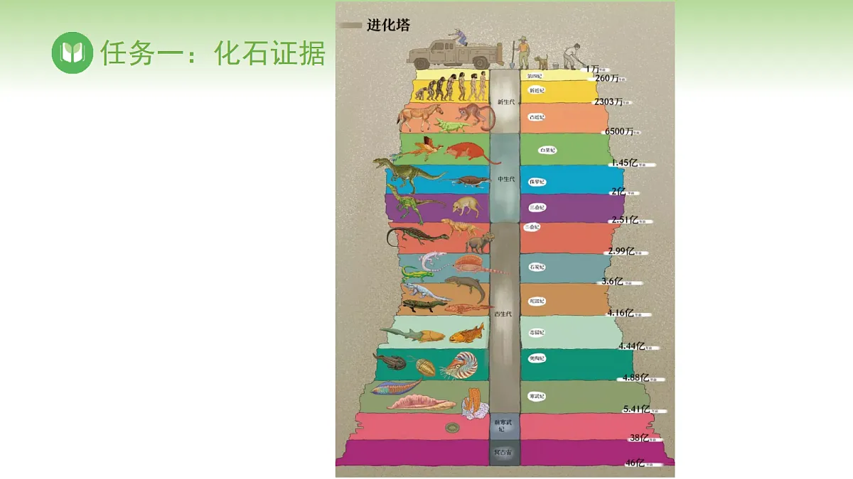 17978624第3页