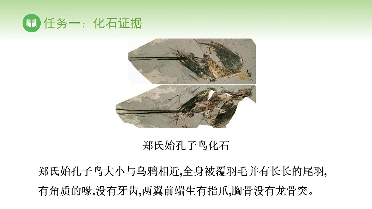 17978624第4页