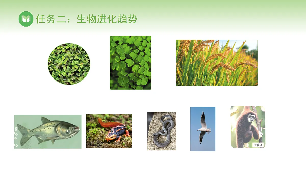 17978624第8页