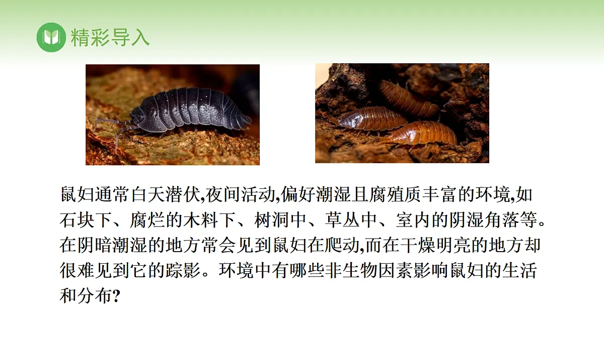 17978627第2页