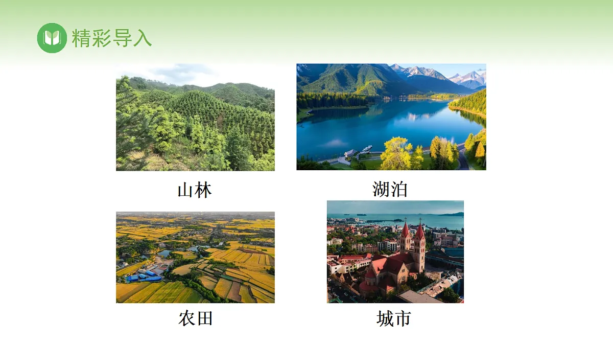17978629第2页