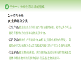 冀少版八年级生物下册 第七单元 第一章 生态系统 第三节 生态系统的组成和类型（课件）