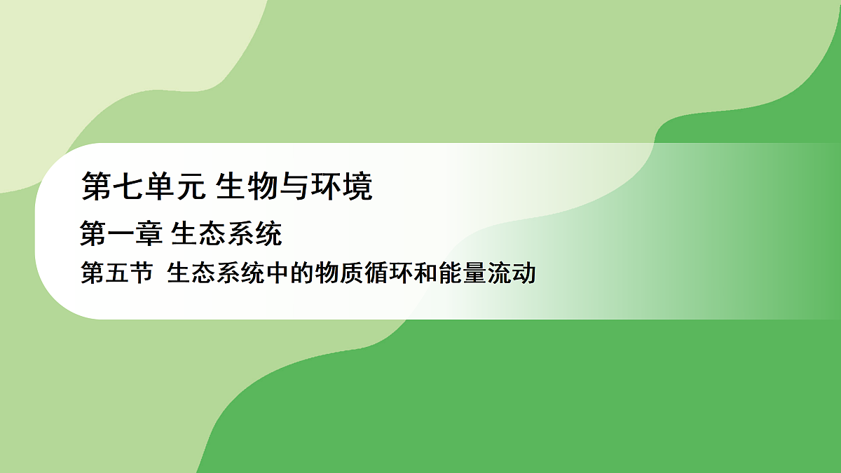 17978631第1页