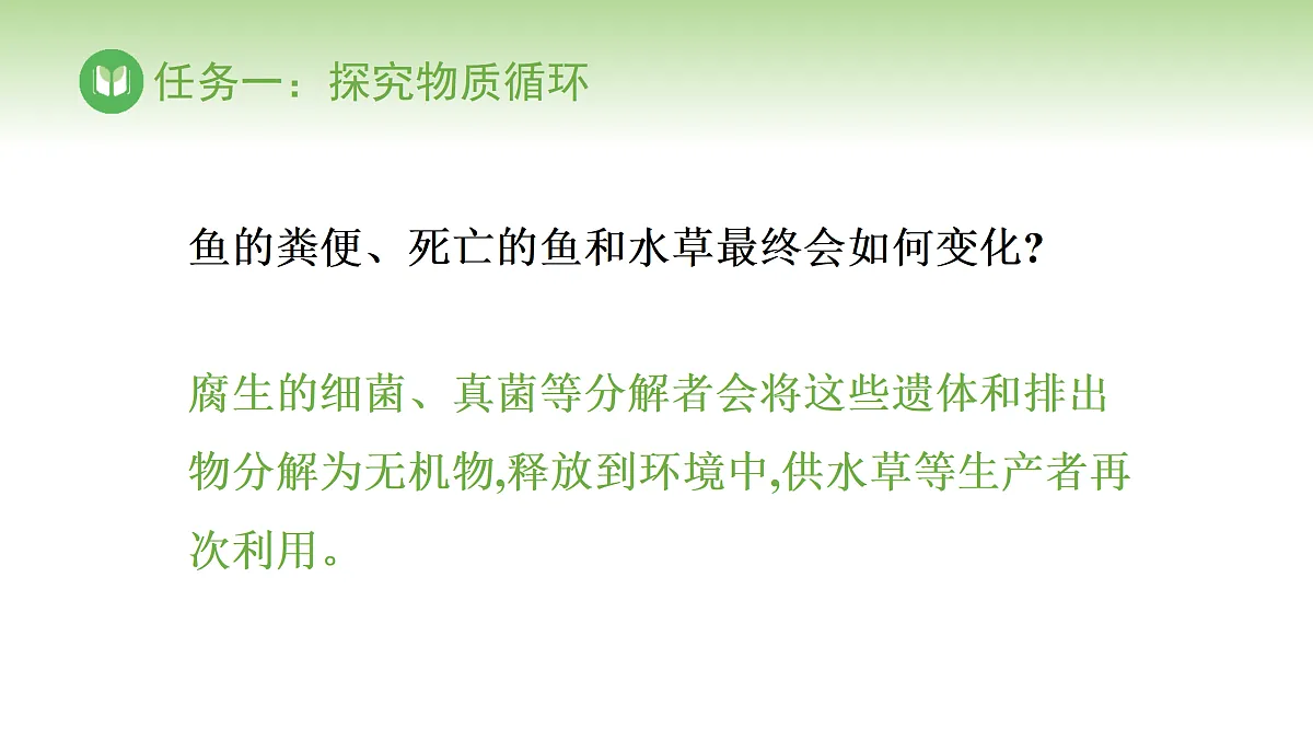 17978631第5页