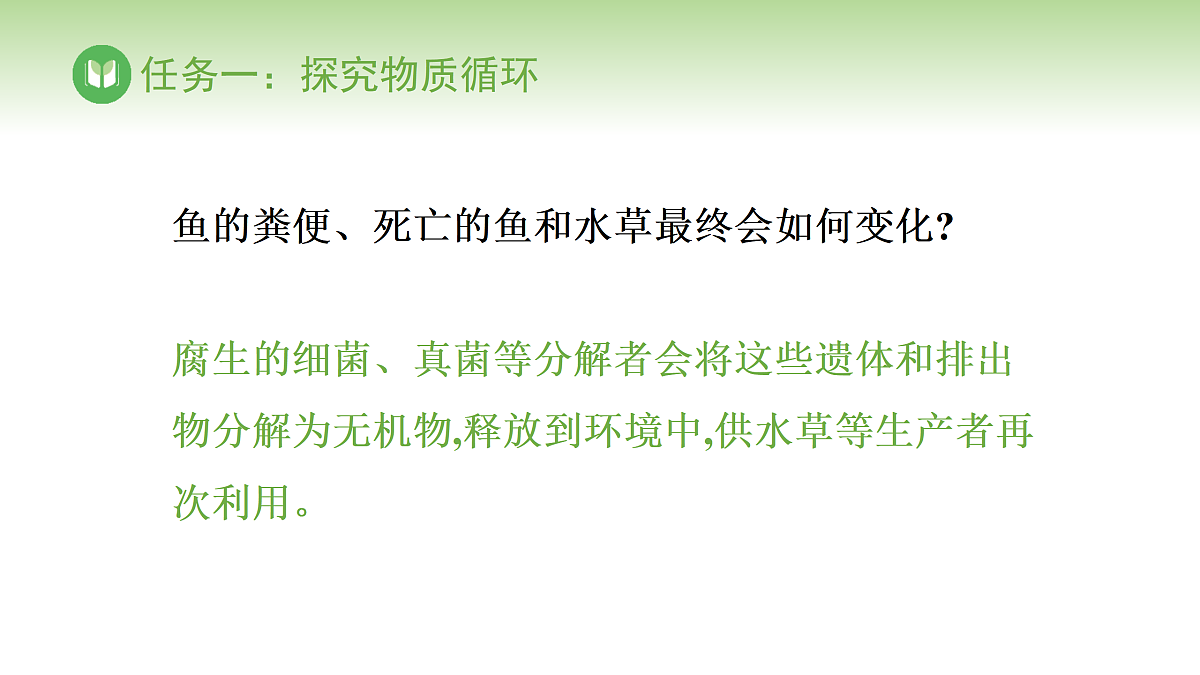 17978631第5页