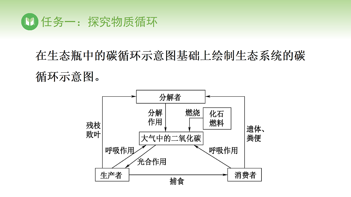 17978631第8页