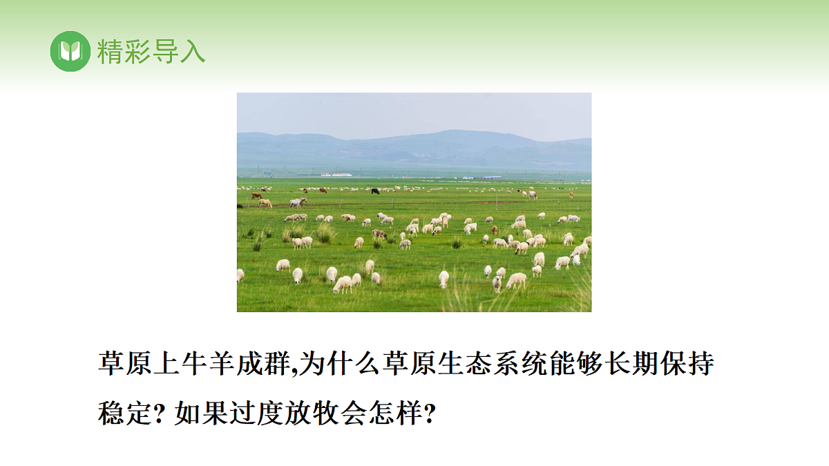 17978634第2页