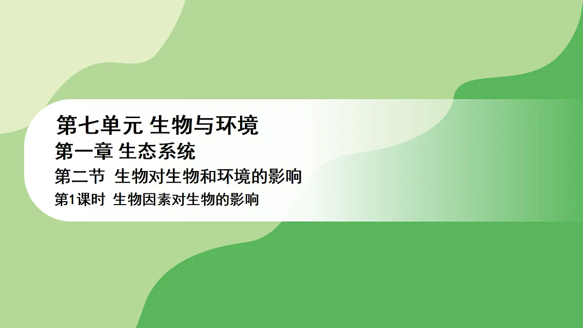 17978655第1页