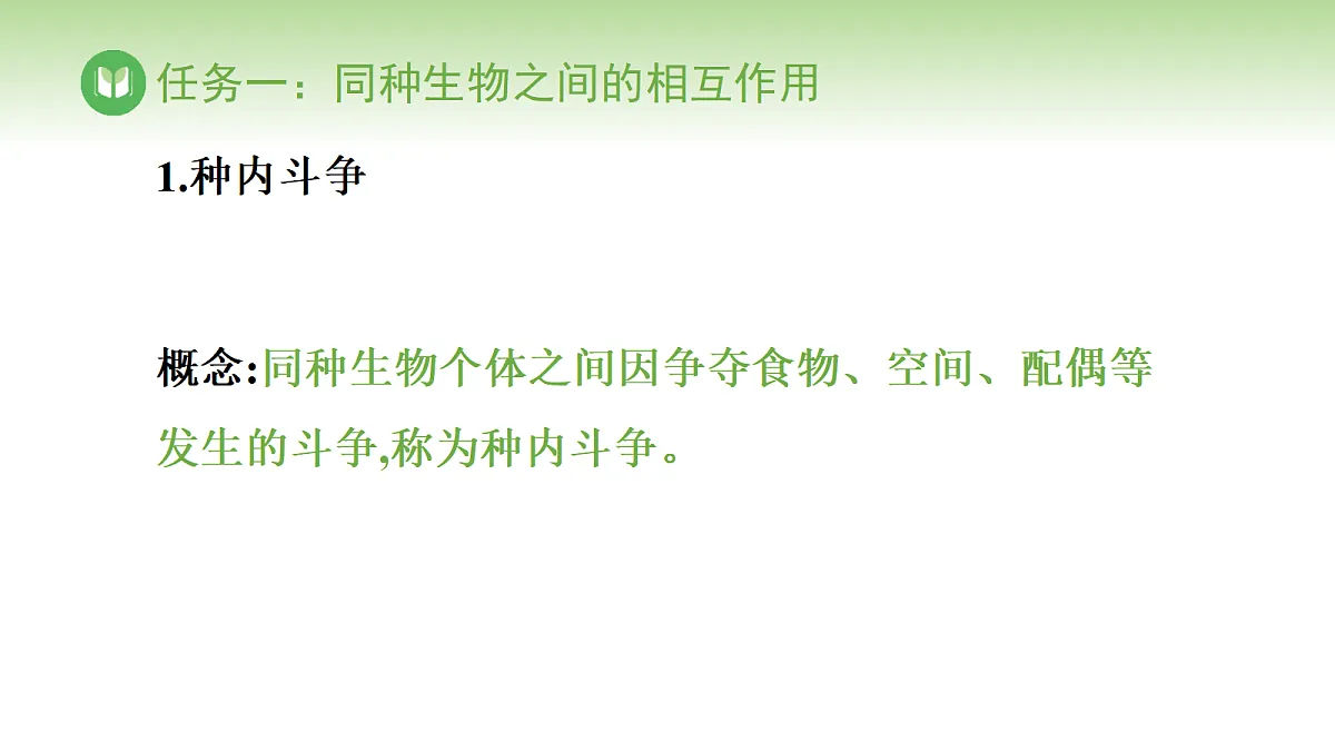 17978655第3页
