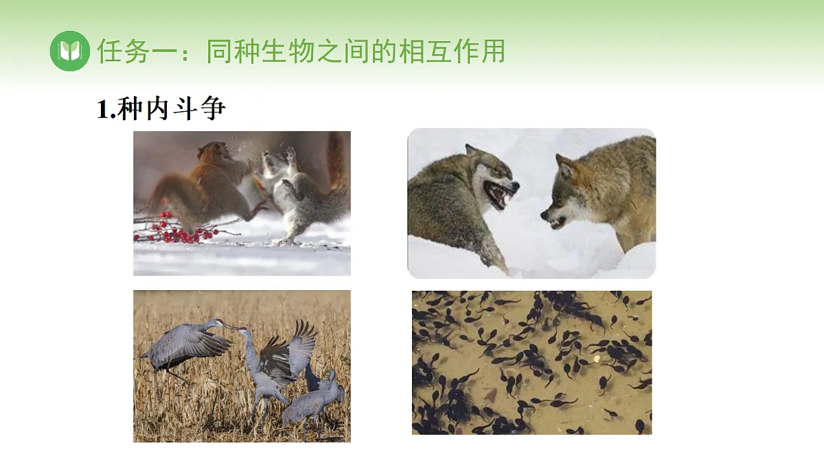 17978655第4页