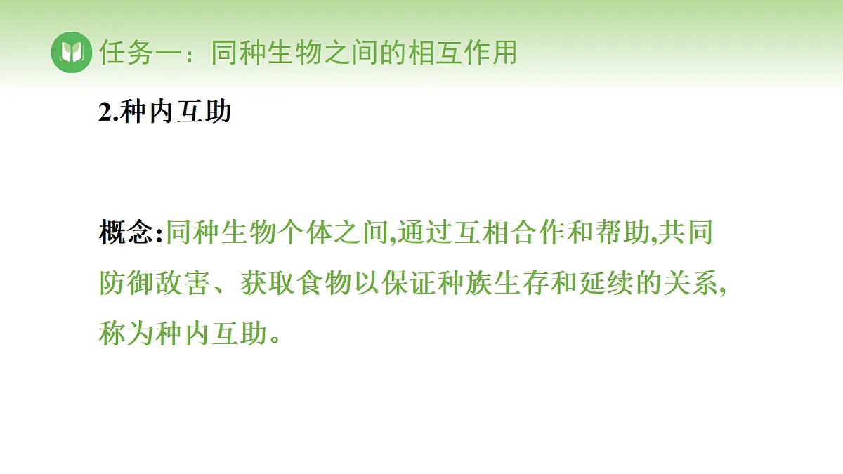 17978655第5页