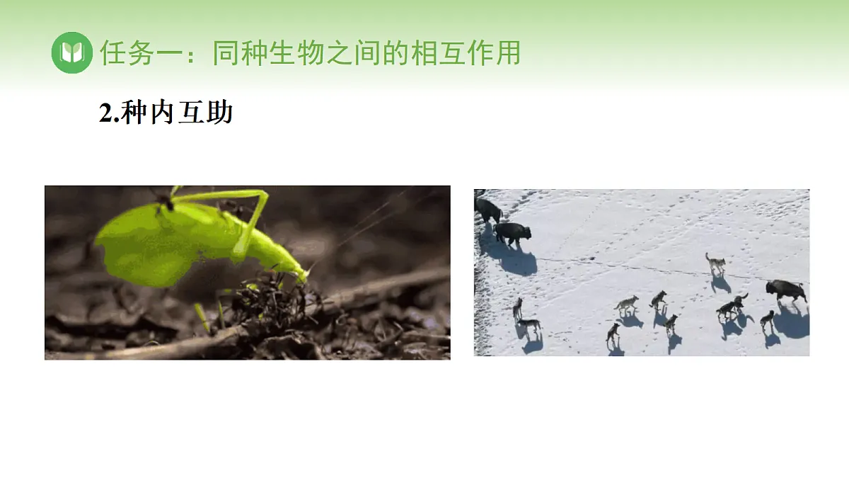 17978655第6页