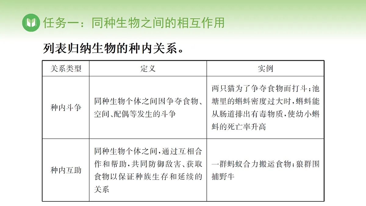 17978655第7页