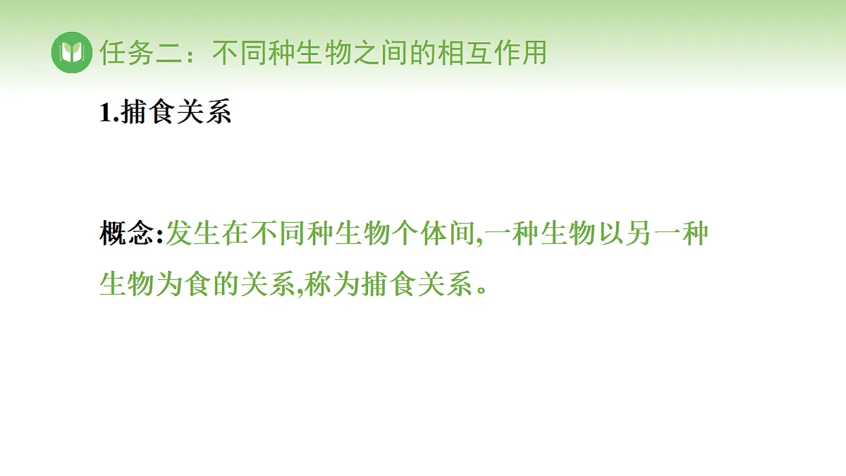17978655第8页