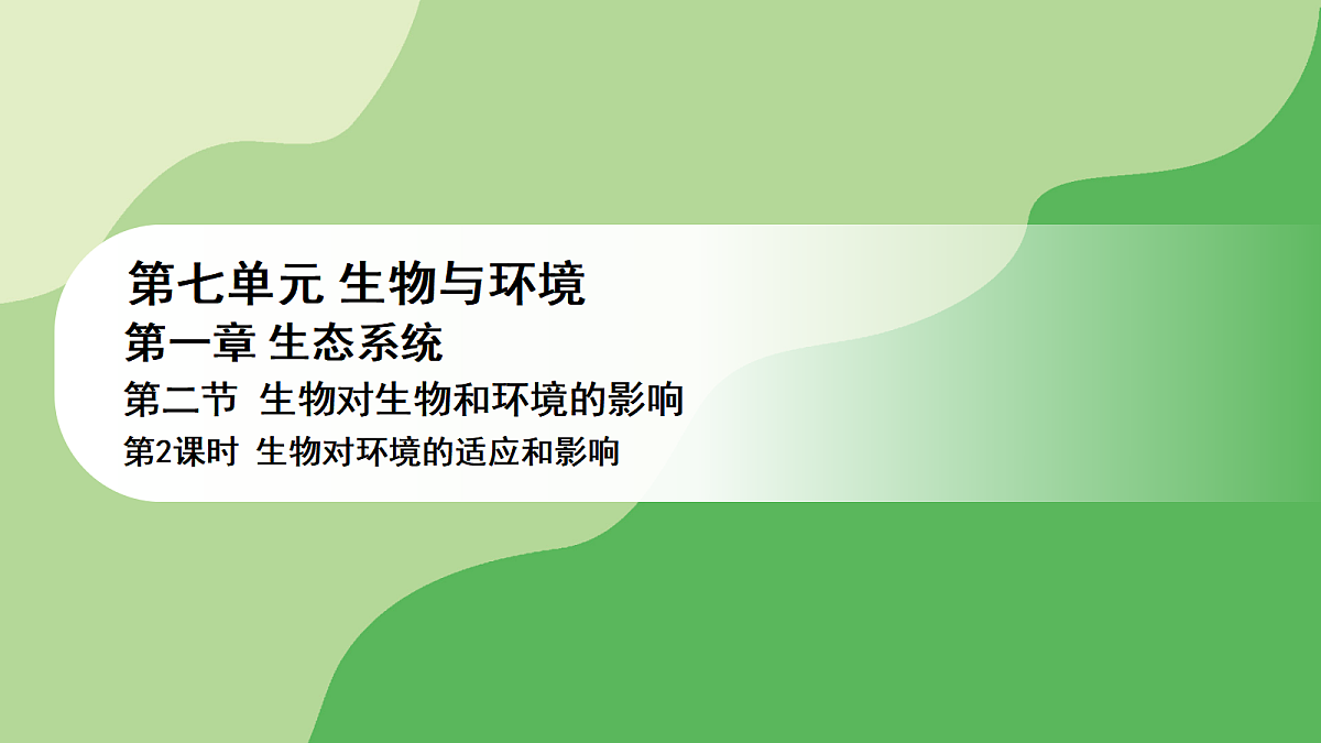 17978656第1页