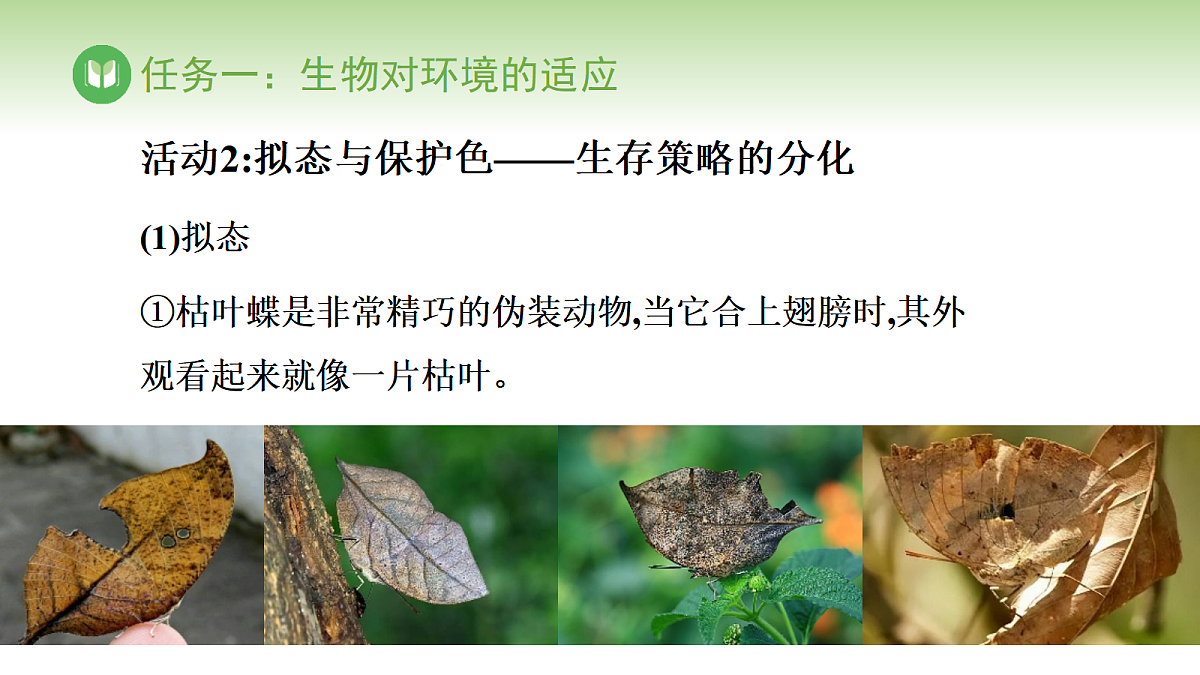 17978656第4页