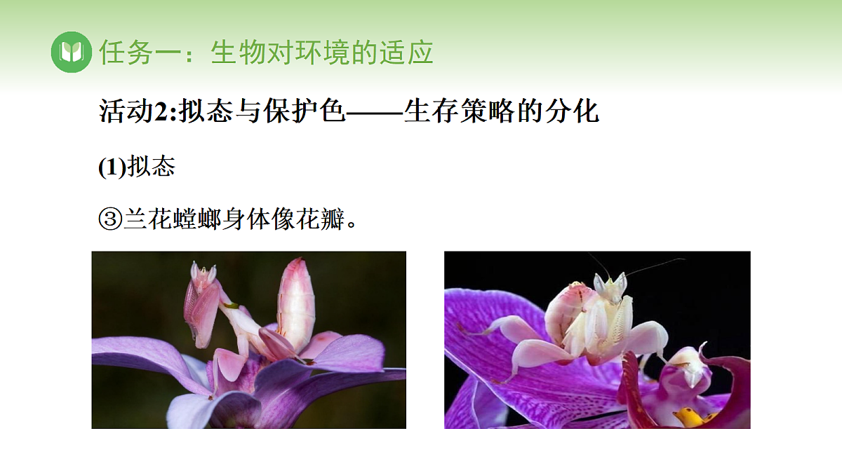 17978656第6页