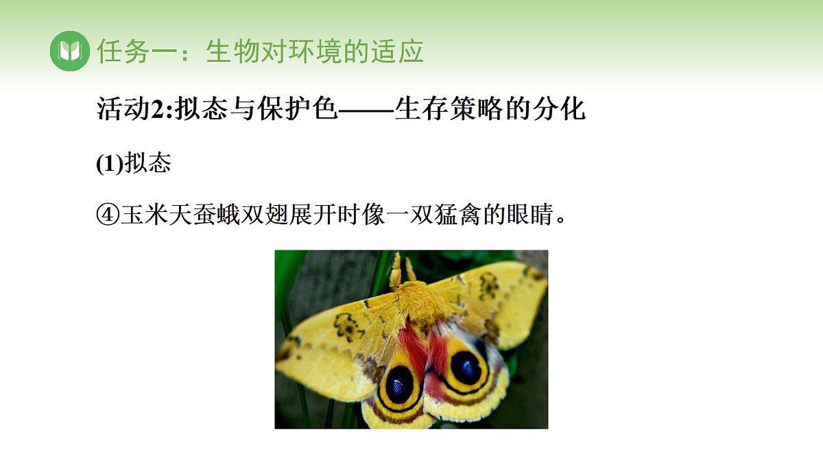 17978656第7页