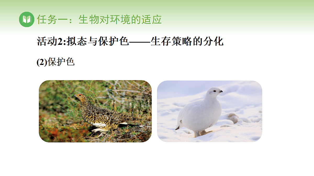 17978656第8页
