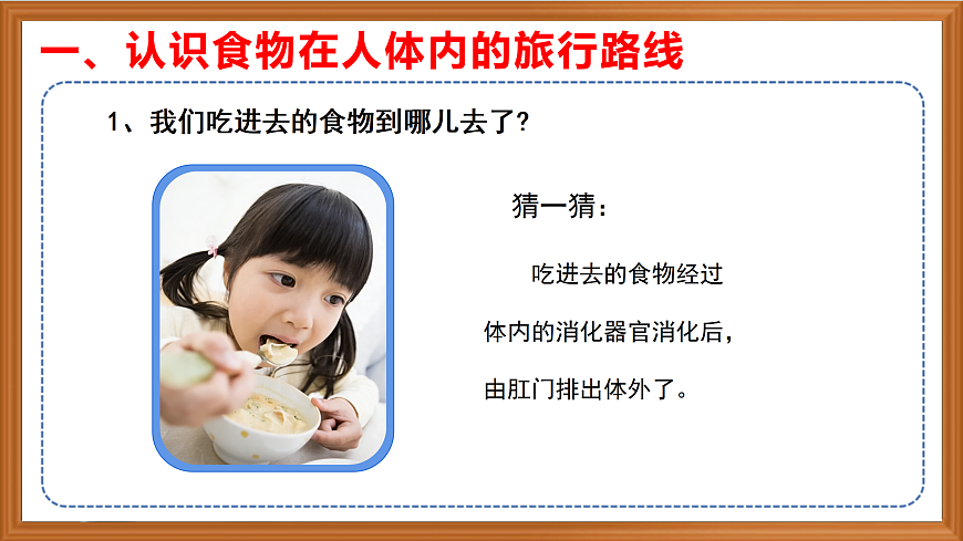 苏教版小学科学三年级下册第五单元《19 人的消化器官》课件+作业设计+视频第4页