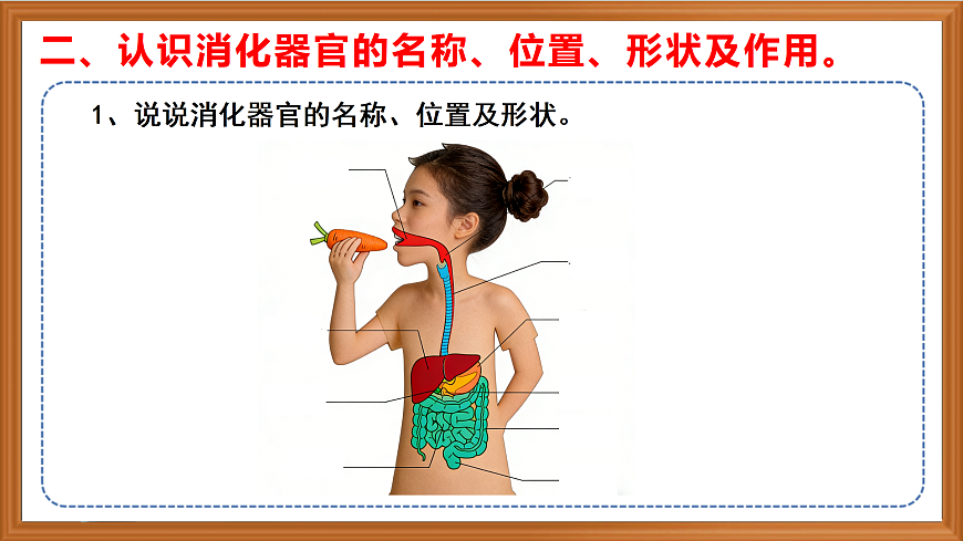 苏教版小学科学三年级下册第五单元《19 人的消化器官》课件+作业设计+视频第6页