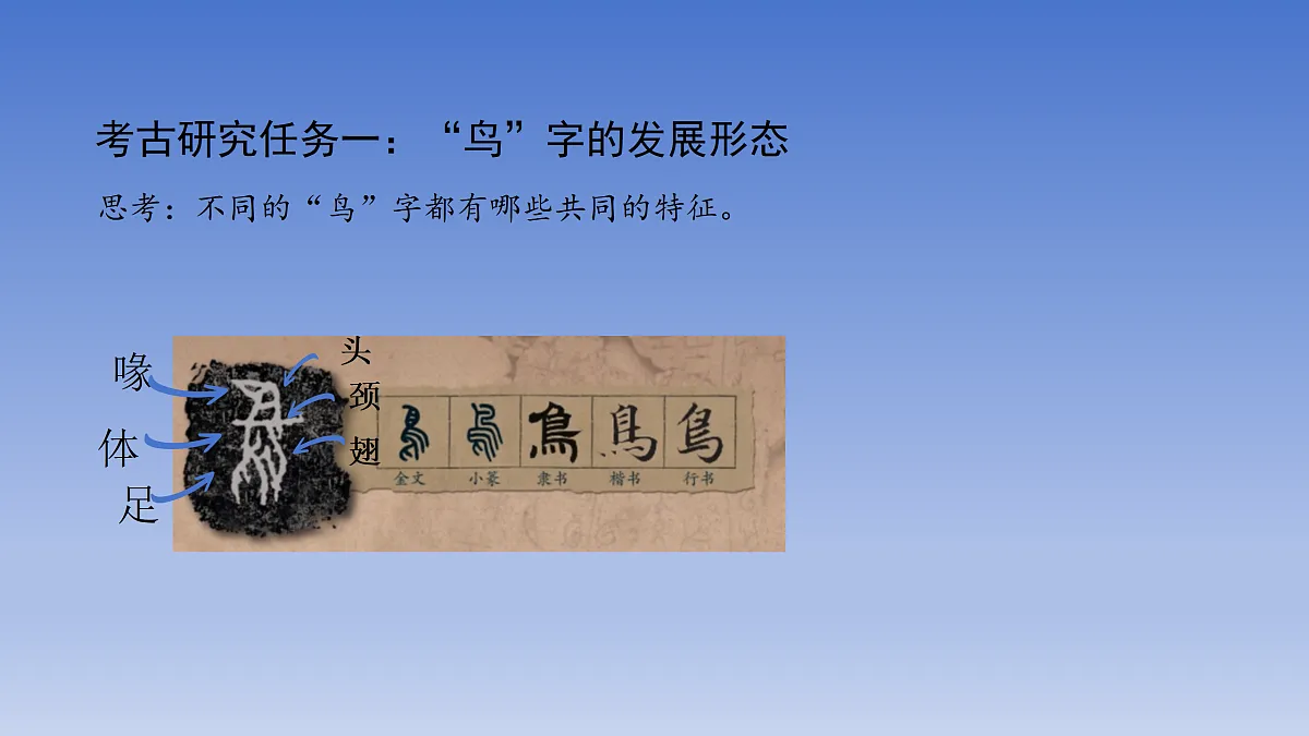 第11课 自由飞翔之鸟第5页