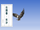 2026春岭南版美术七年级下册第15课  鹰击长空课件+教案（表格式）