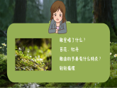 4.2欣赏《苔》 课件-人音版小学音乐三年级下册