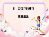 11.沙漠中的植物 小学科学 苏教版（2024） 三年级下册 课件