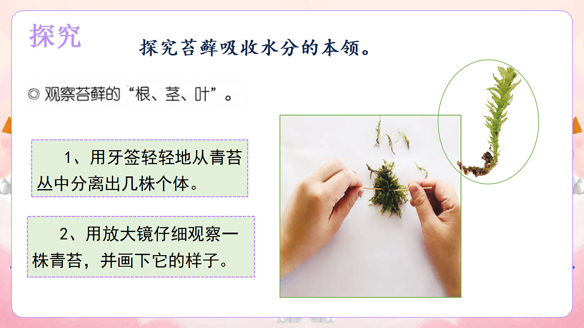17981337第5页