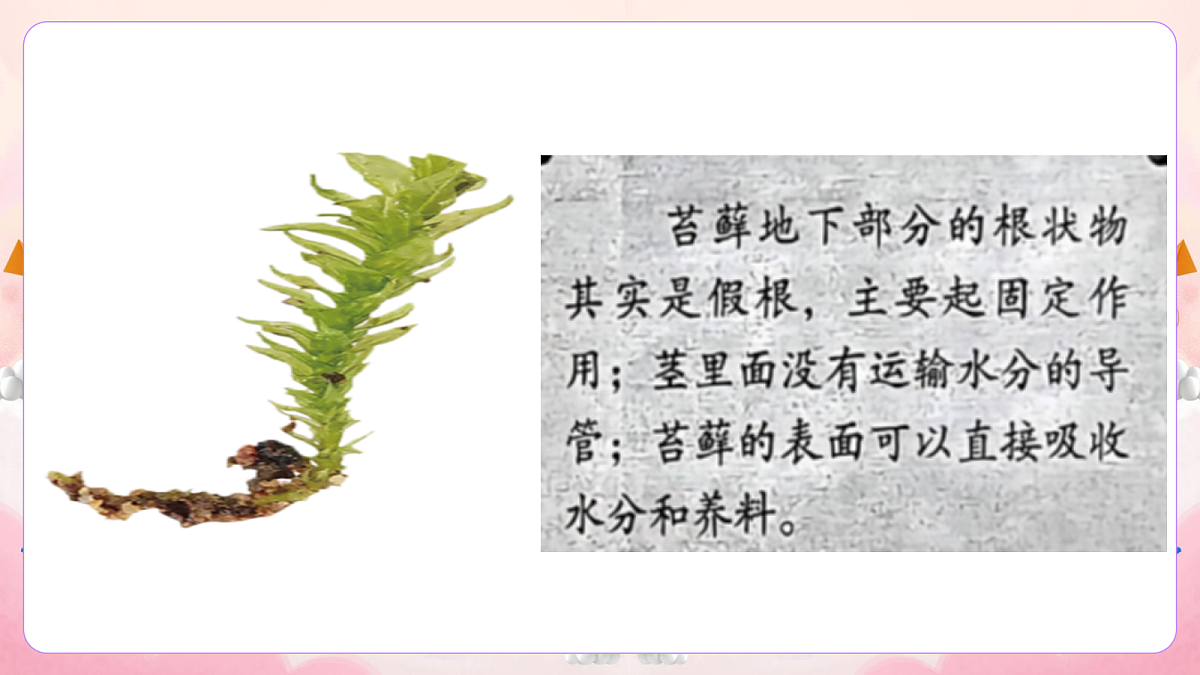 17981337第6页