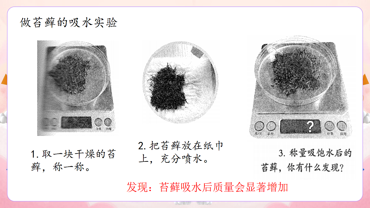 17981337第7页