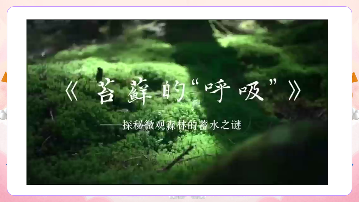 17981337第8页
